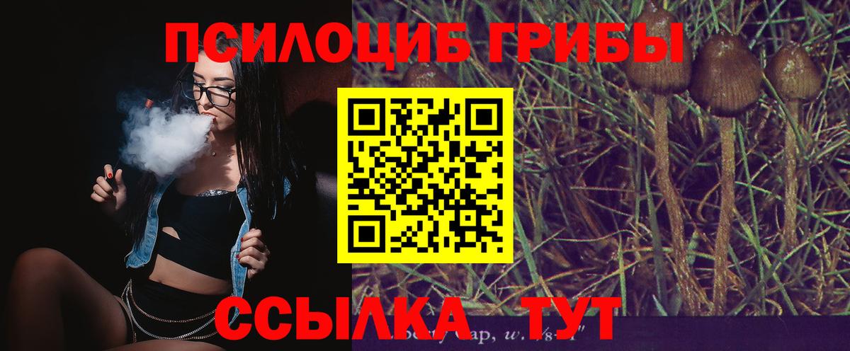 Мценск  Псилоцибиновые грибы мицелий  Вход с VPN  Псилоцибиновые грибы мухоморы 